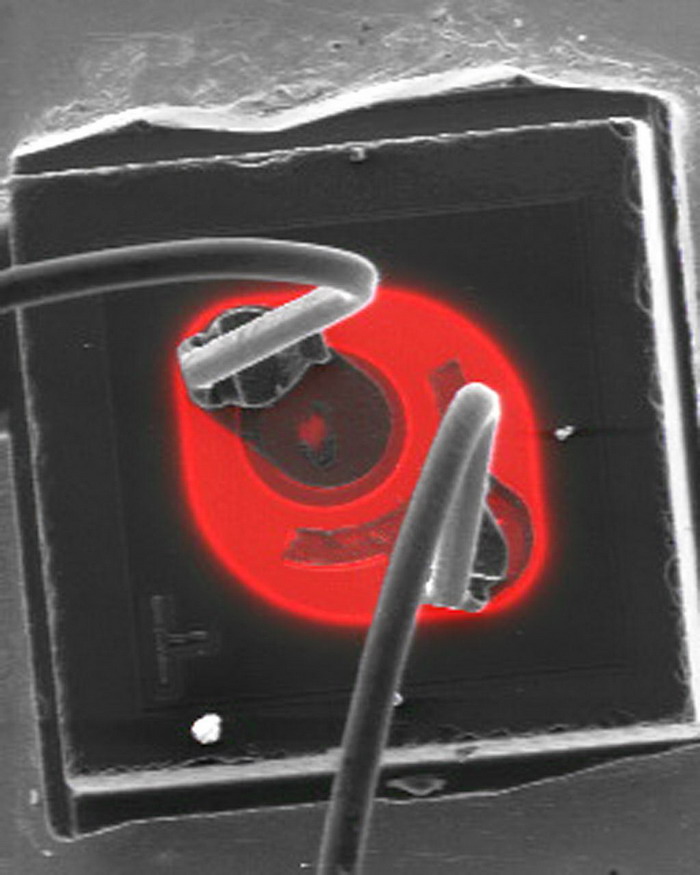 Композитное изображение транзистора КТ3102 в режимах наведенного тока и вторичных электронах (красным цветом отображается область эмиттерного p-n перехода в котором детектируется наведенный ток)